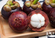 娱乐吃瓜酱山竹,娱乐吃瓜酱的神秘魅力揭秘