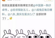 娱乐吃瓜骂人事件,吃瓜群众热议骂人事件，揭秘明星背后真相