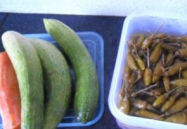 泡椒娱乐会长吃瓜,揭秘娱乐圈背后的“吃瓜”风云